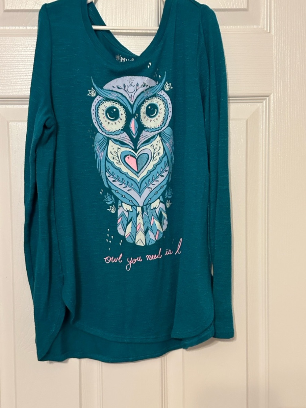 Mudd Teal Long Sleeve Tee with Owl Graphic (teal, light blue, pink, white)